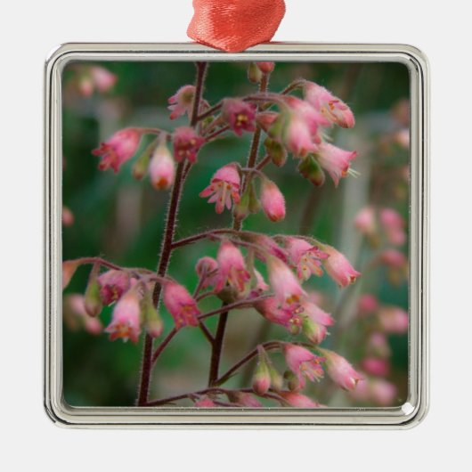 Coralbell Flowers Metalen Ornament (Voorkant)