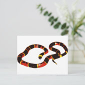 Coralillo Snake Briefkaart (Staand voorkant)