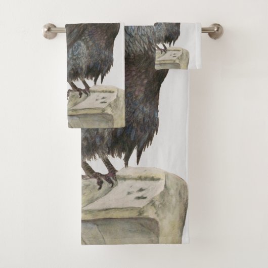 Corbeau (En situation)