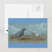 Corbeau aux oeufs embêté par carte postale Pigeon (Devant / Derrière)