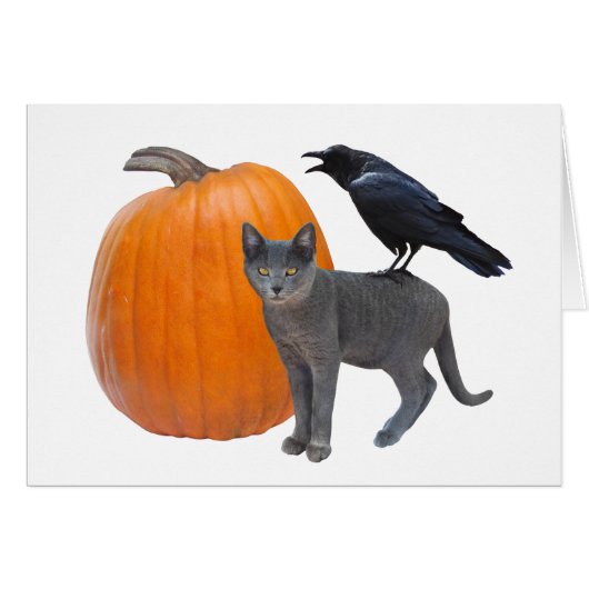 Corbeau, chat gris avec carte d'Halloween Citrouil (Devant horizontal)