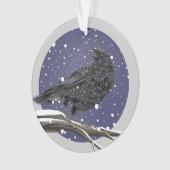 Corbeau d'hiver (devant)