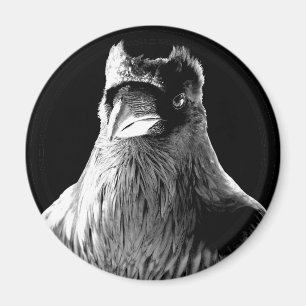 Corbeau Magnet Amour animal Spirit animal Aimant f