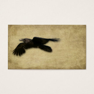 Corbeau noir solitaire