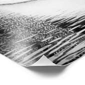 Corbeau reflété dans l'eau - B&W Photographie (Coin)