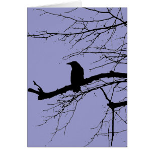 Corbeau sur l'arbre