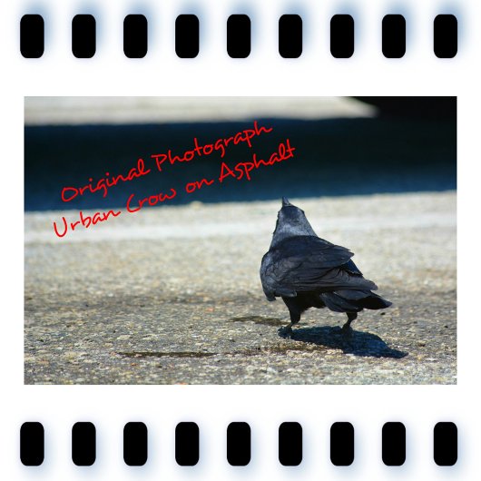 Corbeau urbain gothique