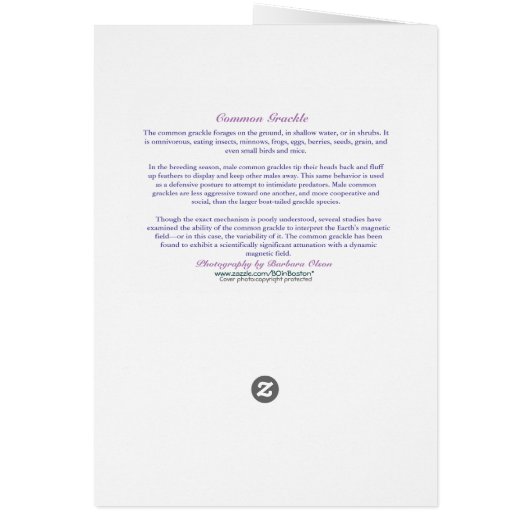 Corbeille commune (Dos)