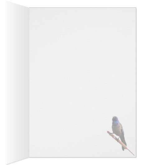 Corbeille commune (Intérieur (Droit))