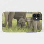 Corbett National Park, Uttaranchal, India. Case-Mate iPhone Case (Achterkant (horizontaal))