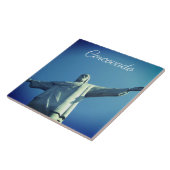 Corcovado Tegeltje (Zijkant)