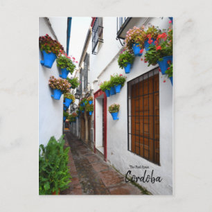 Cordoba Alleyway - Spanje Briefkaart