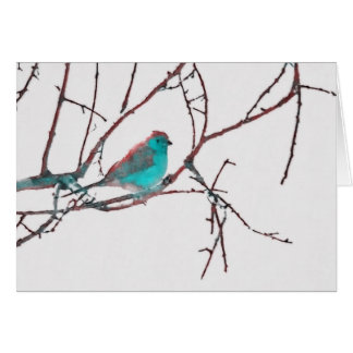 Cordon Bleu Waxbill