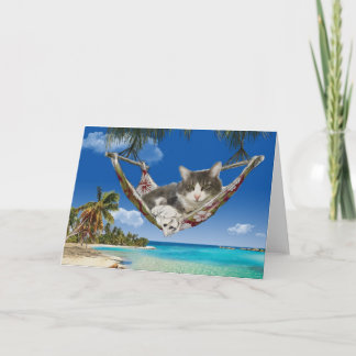 Corduroy in het Caribisch gebied, kat in hangmat k Kaart