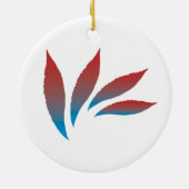 Core Imaginations Ornament (Achterkant)