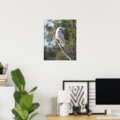 Corella Bird Poster (Thuiskantoor)