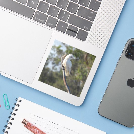 Corella Bird Sticker (Laptop met iPhone)