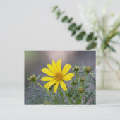Coreopsis briefkaart (Staand voorkant)