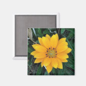 coreopsis magneet (Voorkant / Achterkant)