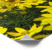 Coreopsis Print (Hoek)