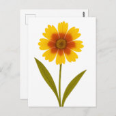 Coreopsis — vrolijkheid briefkaart (Voorkant / Achterkant)