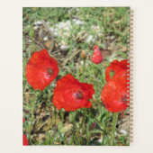 Corfou Red Poppies (Dos)