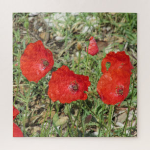 Corfou Red Poppies Jigsaw Puzzle