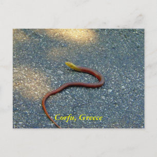 Corfu, Griekenland Briefkaart