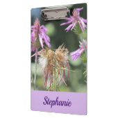 Corfu Lila wilde bloemen Klembord (Links)