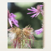 Corfu Lilac Fleurs sauvages (Dos)