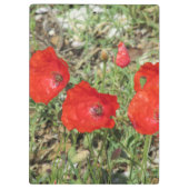 Corfu Red Poppies Klembord (Achterkant)