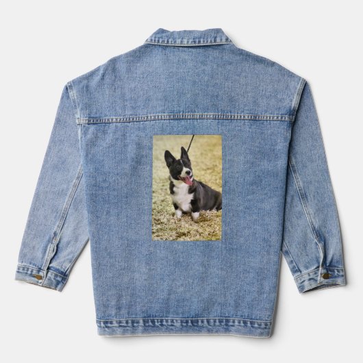 Corgi (Verso)