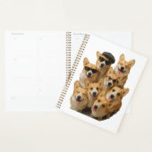 Corgi (Devant avec enveloppe)