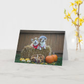 Corgi agriculteur et carte vierge d'épouse (Fleur jaune)