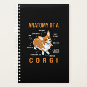 corgi amoureux des chiens drôle