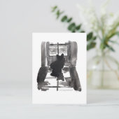 Corgi attendant la carte postale (Debout devant)