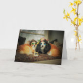 Corgi-blanco kaart (Gele Bloem)