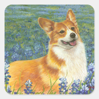 Corgi & Bluebonnets Portret Vierkante Sticker