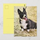 Corgi Briefkaart (Voorkant / Achterkant)
