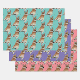 Corgi-cadeaupapierenset Inpakpapier Vel