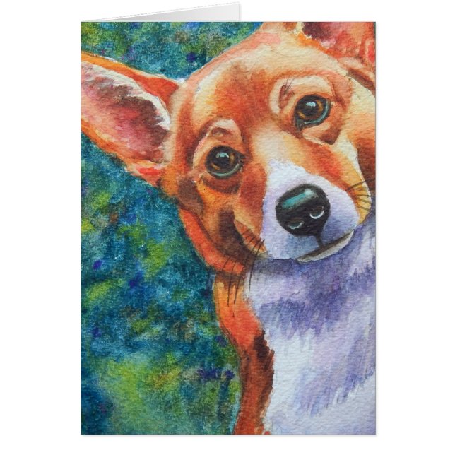 Corgi Curious Chien (Devant)