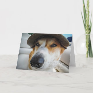 Corgi demande carte d'anniversaire