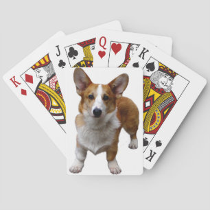 Corgi Dog Deck of Paring Cards Pokerkaarten
