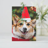 Corgi dog glimlacht kerst plezier bedankkaart (Staand voorkant)