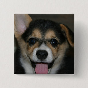 Corgi Dog Square Pin Vierkante Button 5,1 Cm