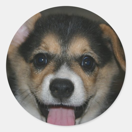 Corgi Dog Sticker (Voorkant)