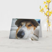 Corgi eist traktatie verjaardagskaart kaart (Gele Bloem)