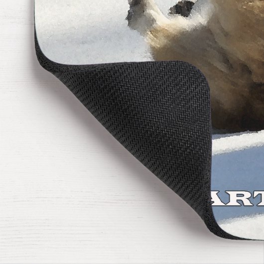 CORGI ERROR MUISMAT (Hoek)