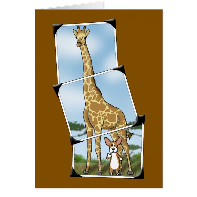 Corgi et instantanés de girafe (Devant)