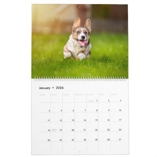 Corgi Fun Kalender (Jan 2026)